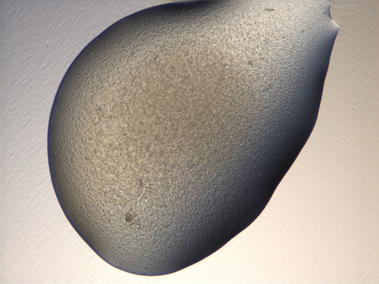 069u_E9_ImagerDefaults_3.jpg