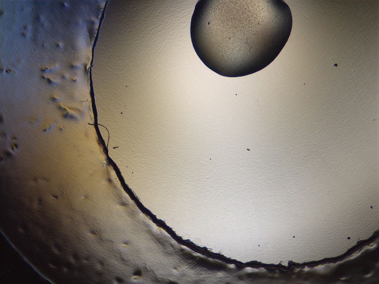 069u_E10_ImagerDefaults_3.jpg