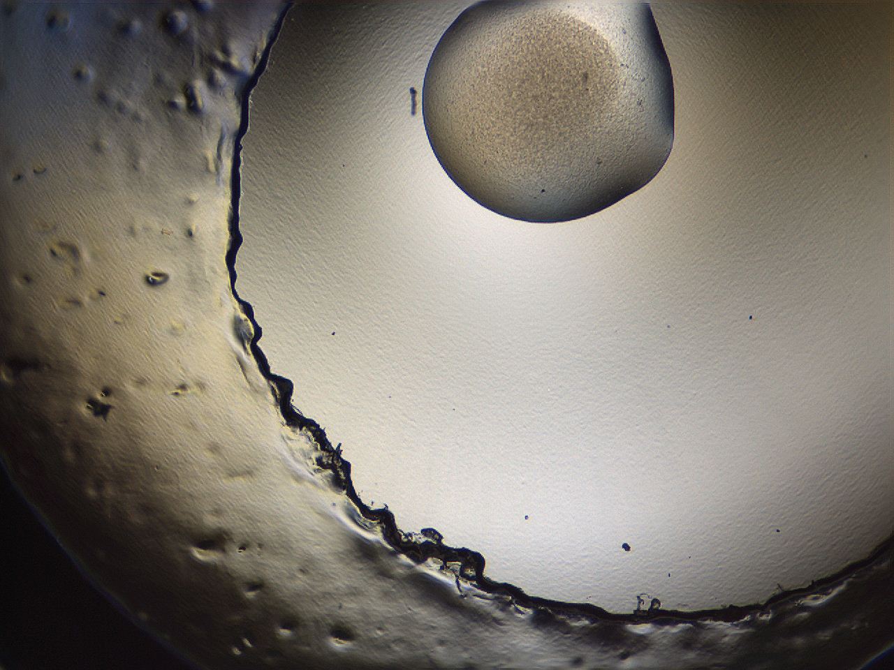 069u_E11_ImagerDefaults_3.jpg