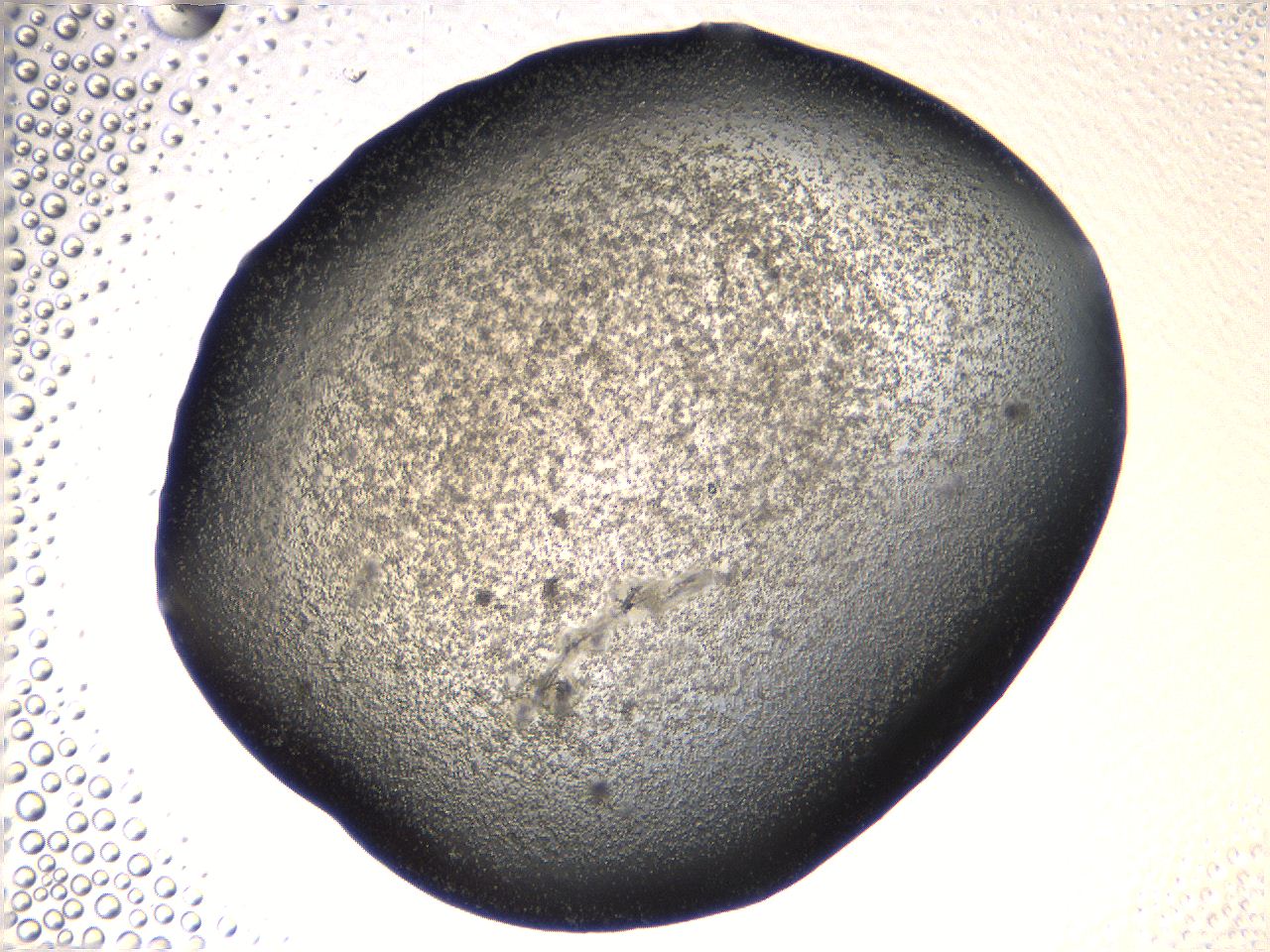 069u_C9_ImagerDefaults_3.jpg