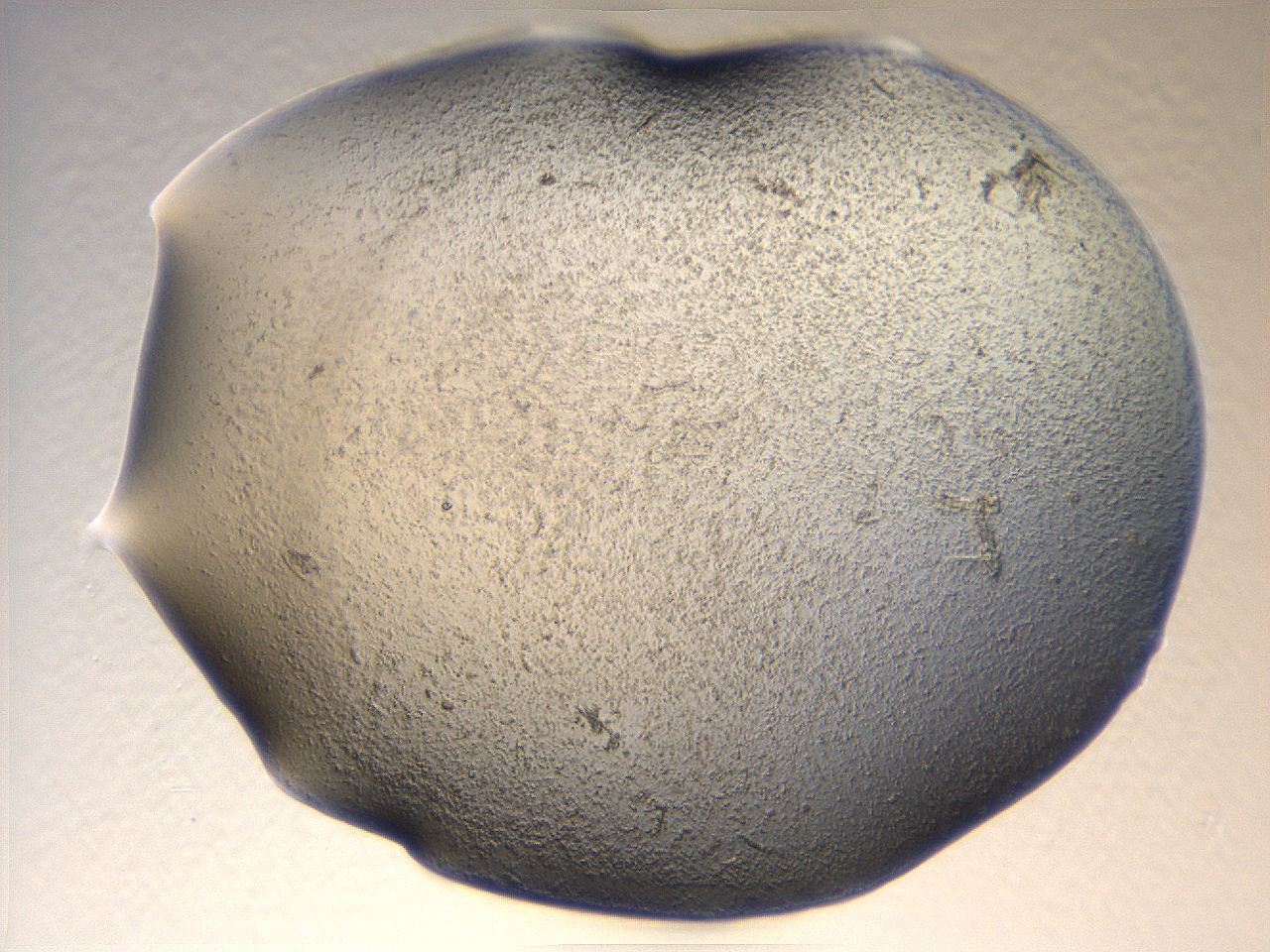 069u_F4_ImagerDefaults_3.jpg