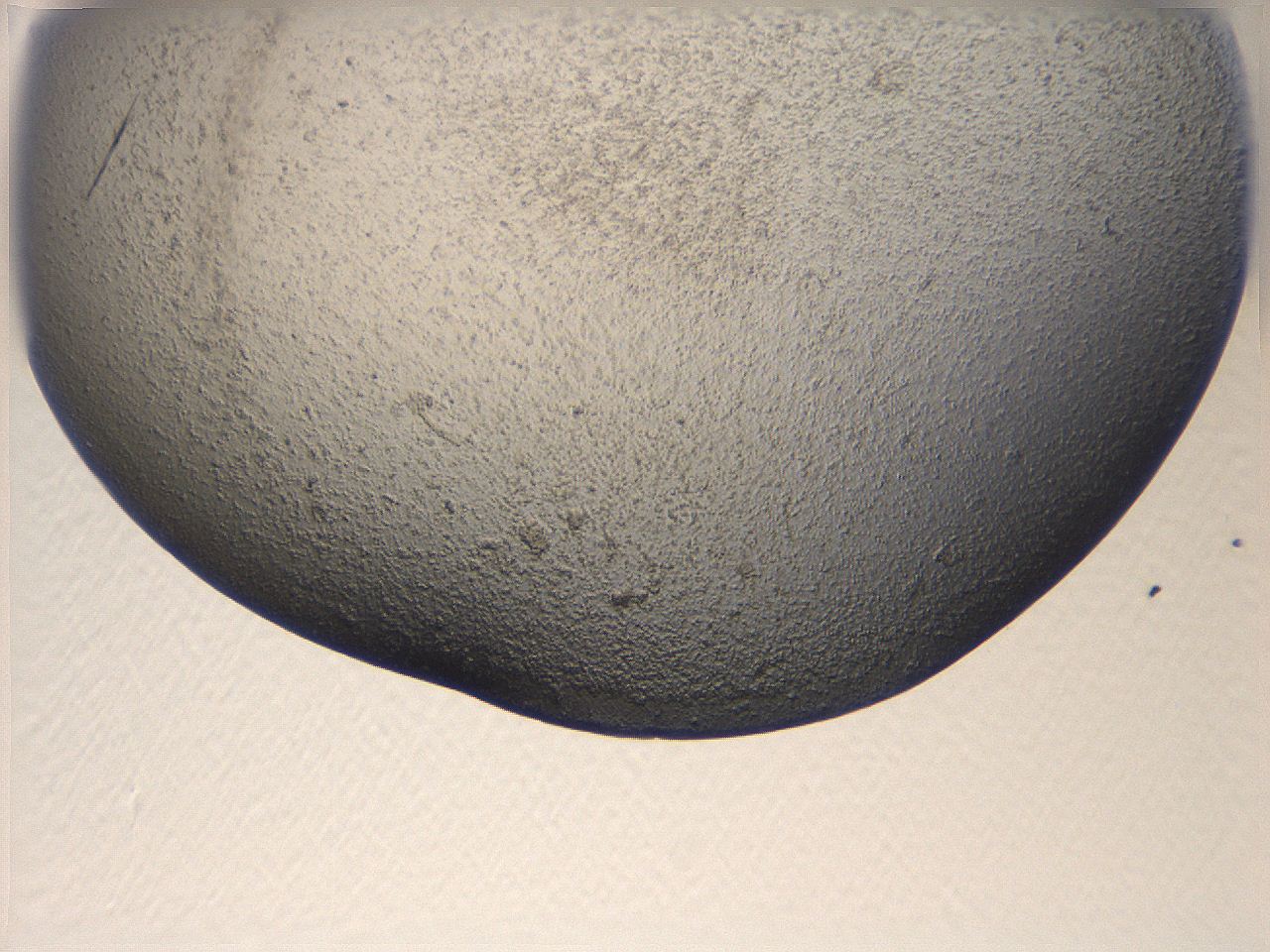 069u_F6_ImagerDefaults_3.jpg