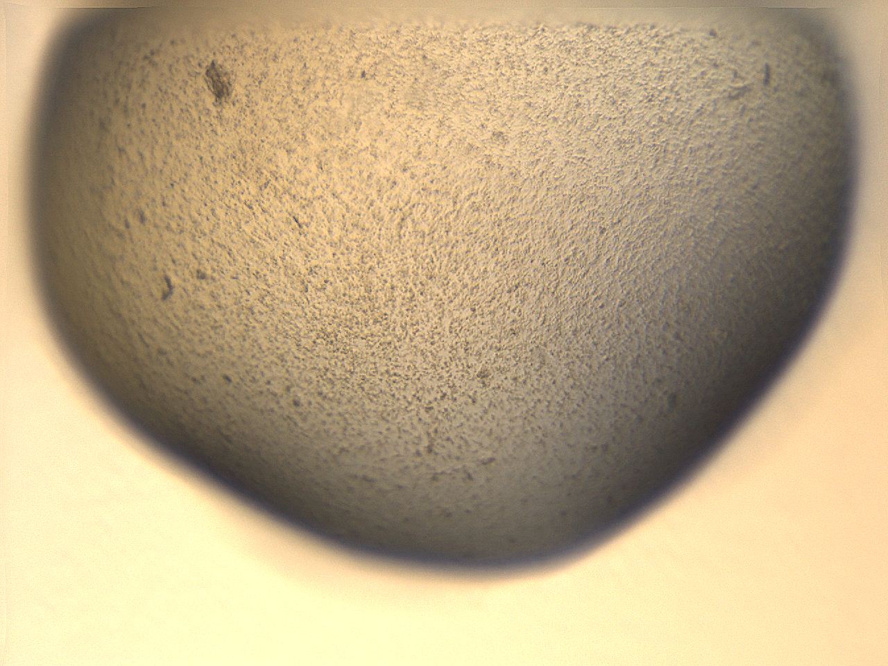 069u_D4_ImagerDefaults_3.jpg