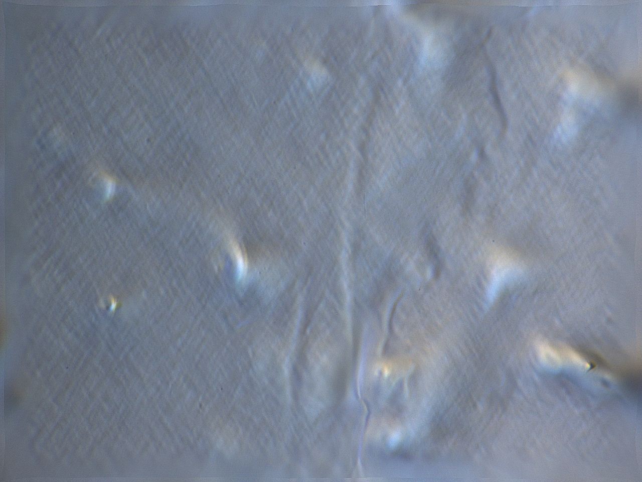 069u_F10_ImagerDefaults_m.jpg