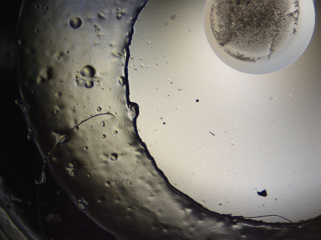 069u_F11_ImagerDefaults_3.jpg
