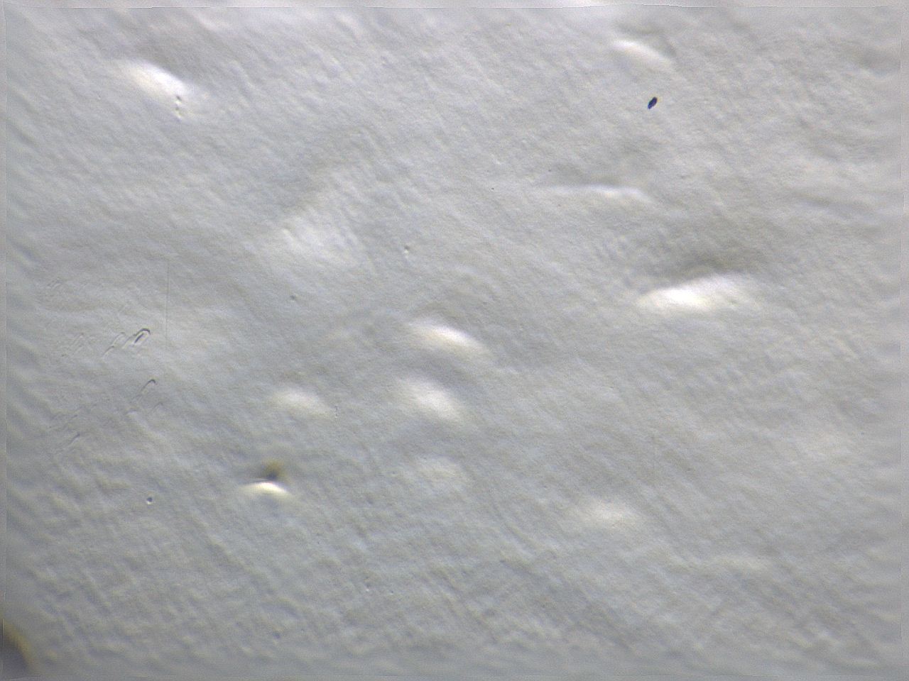 069u_G1_ImagerDefaults_m.jpg