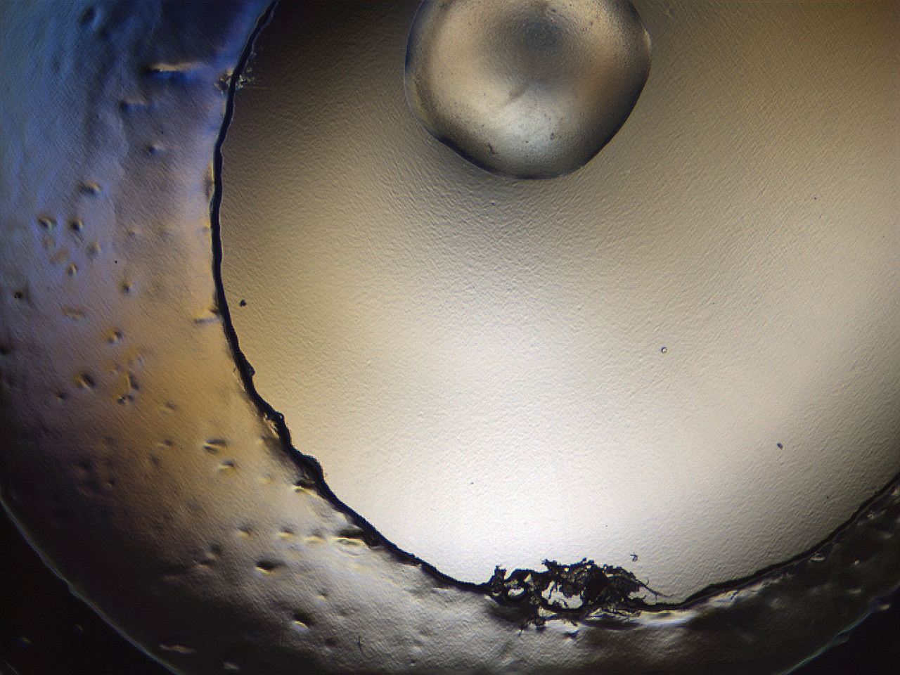 069u_D10_ImagerDefaults_3.jpg