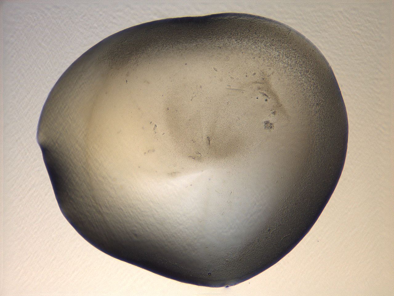 069u_D11_ImagerDefaults_3.jpg