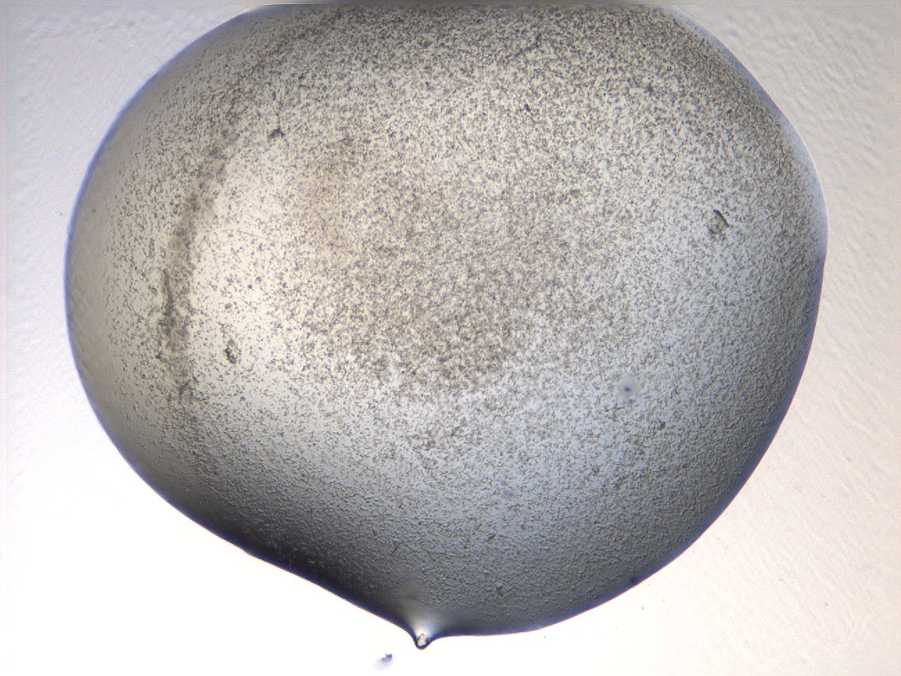 069u_D12_ImagerDefaults_3.jpg