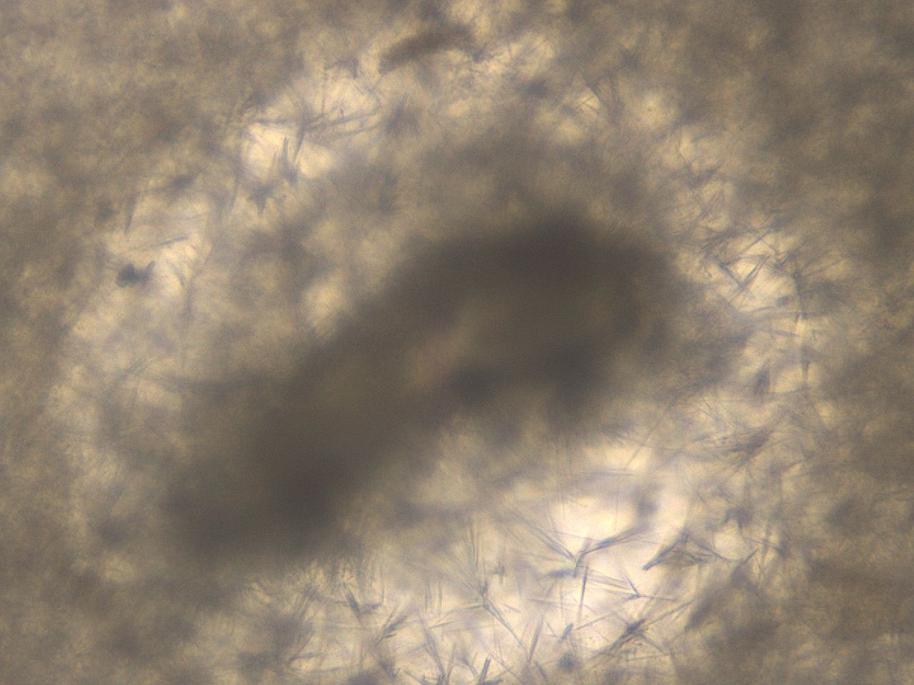 069u_E5_ImagerDefaults_7.jpg