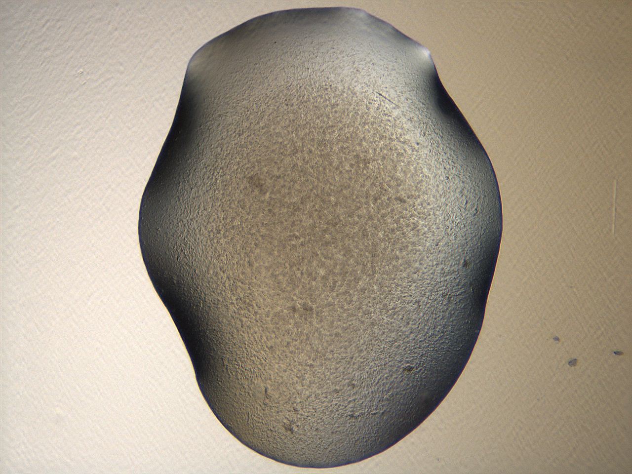 069u_E8_ImagerDefaults_3.jpg