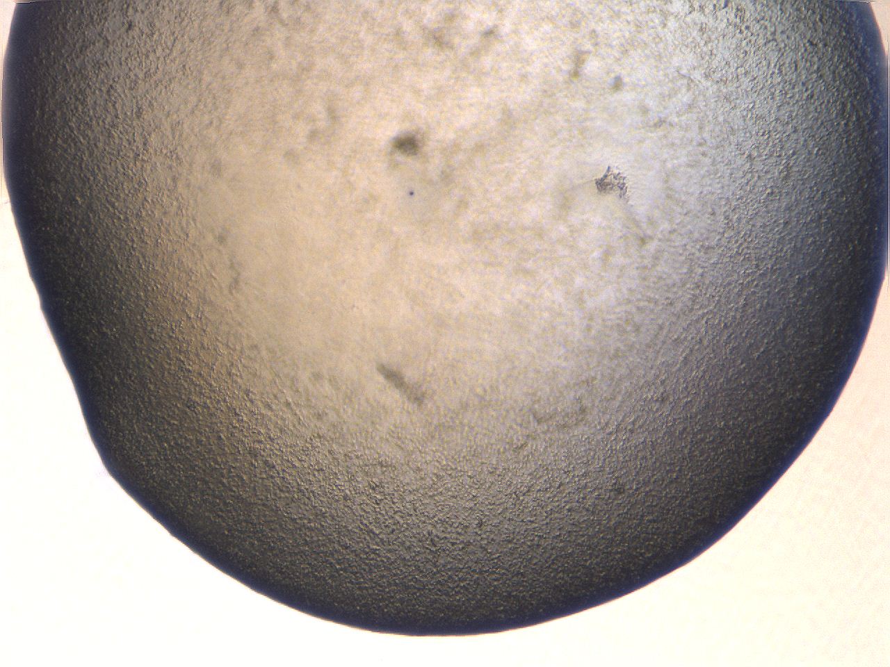 069u_F8_ImagerDefaults_3.jpg