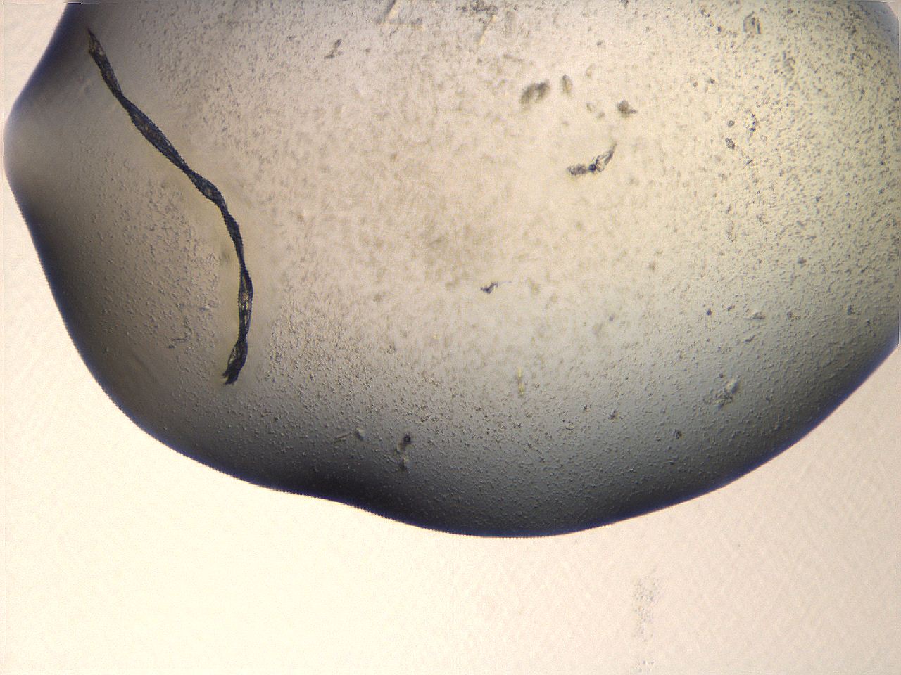069u_G7_ImagerDefaults_3.jpg