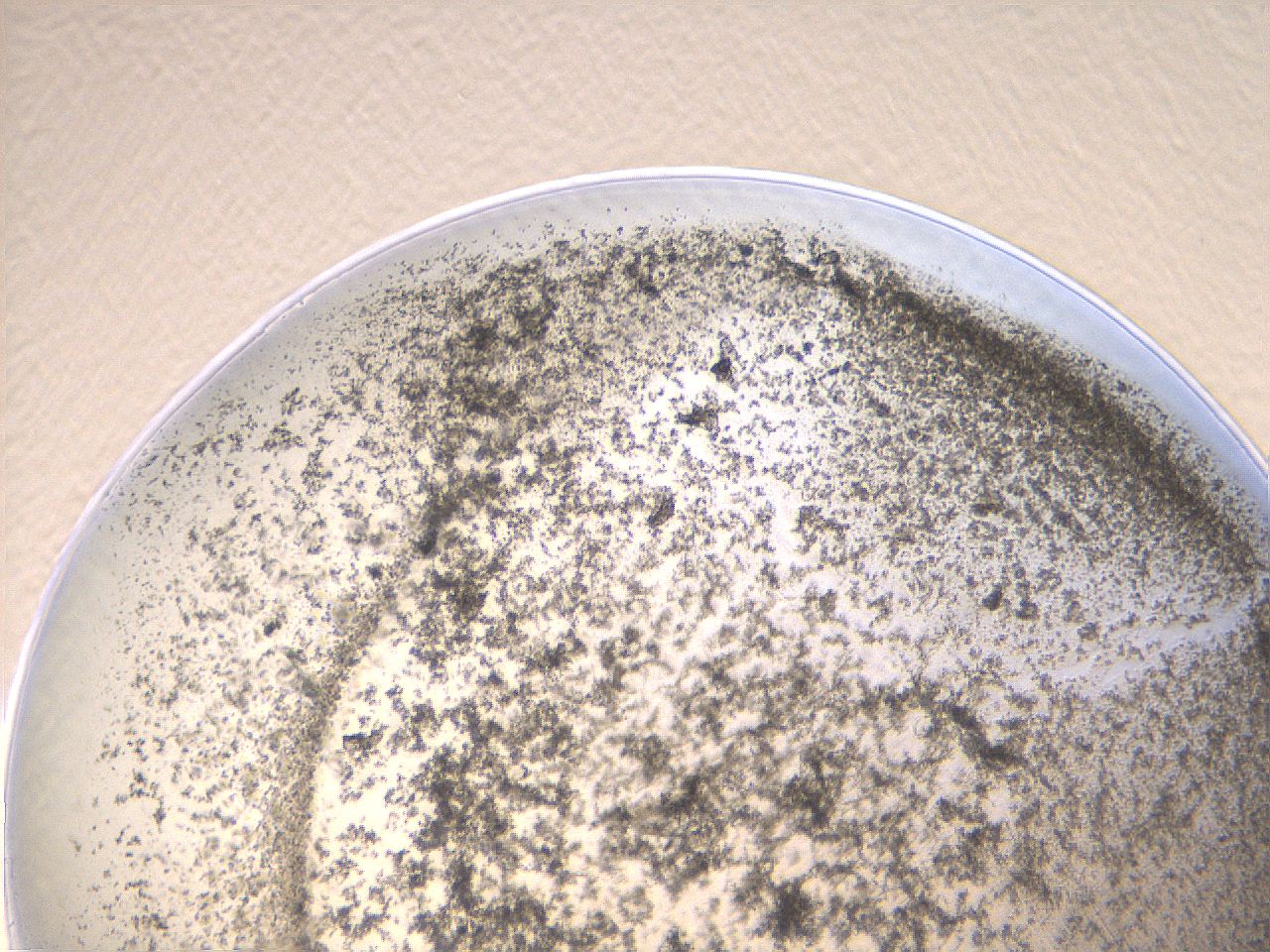 069u_G8_ImagerDefaults_3.jpg