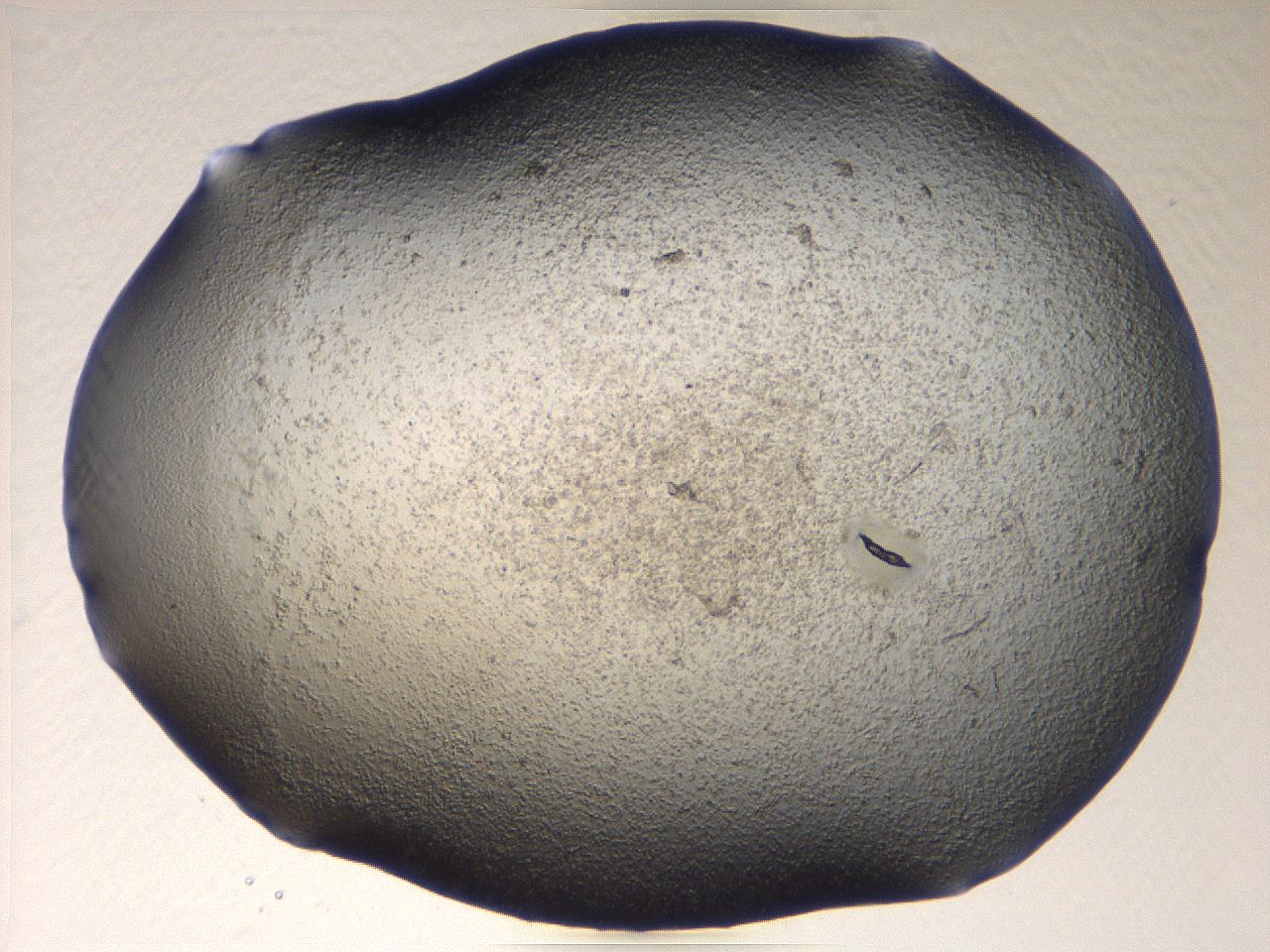 069u_G10_ImagerDefaults_3.jpg