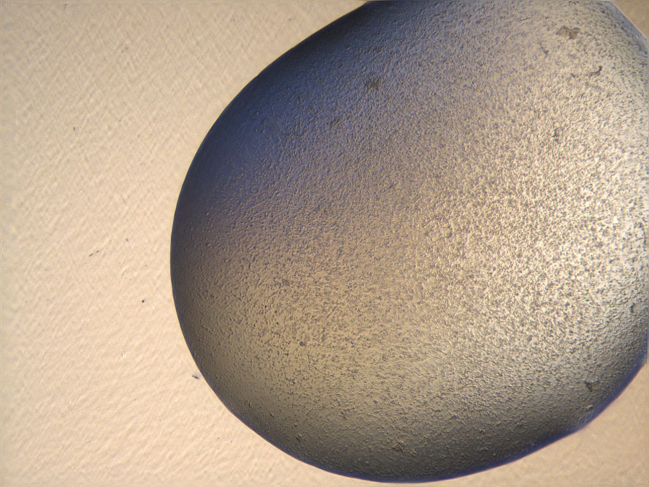 069u_H2_ImagerDefaults_3.jpg