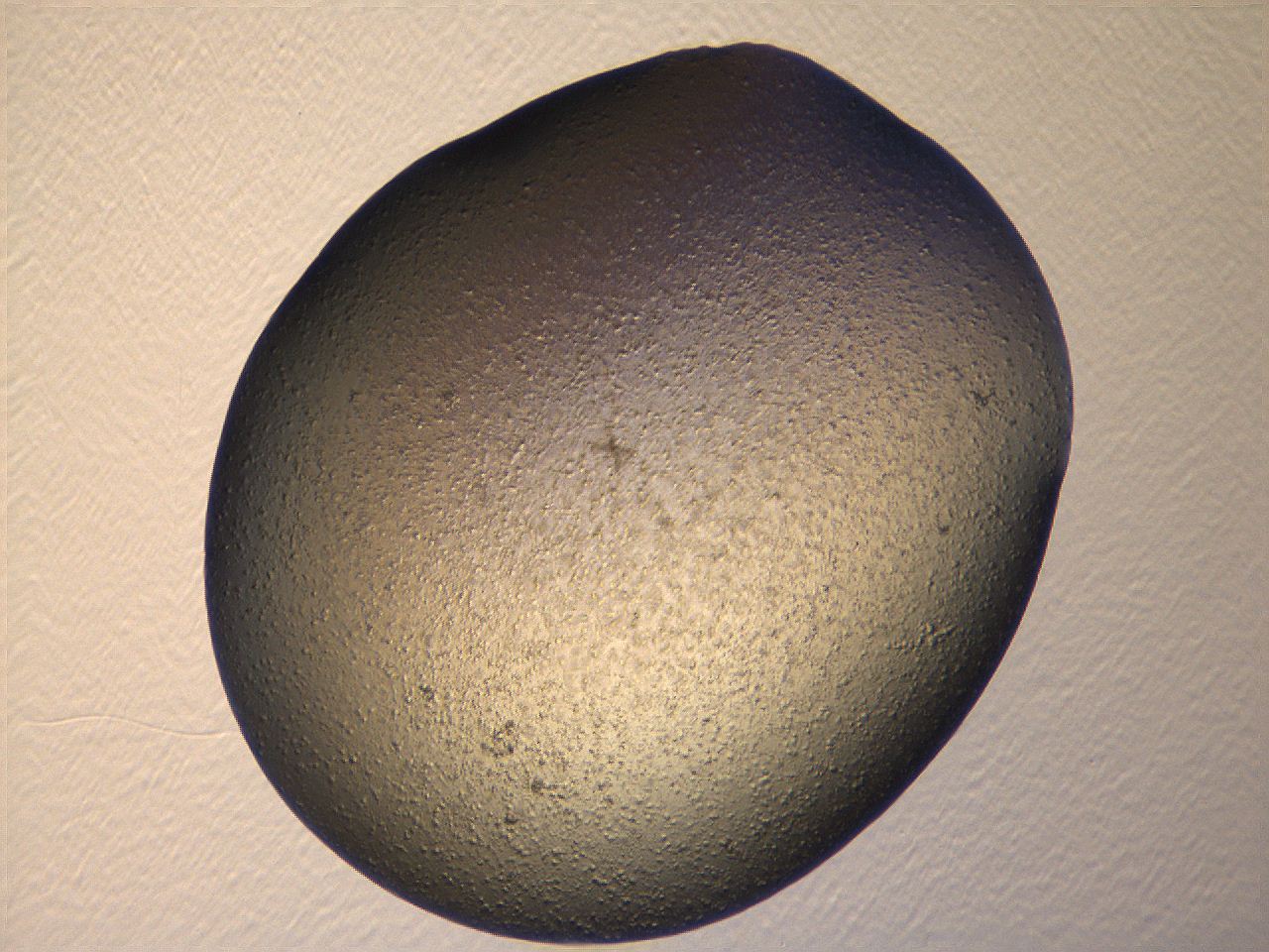 069u_H3_ImagerDefaults_3.jpg