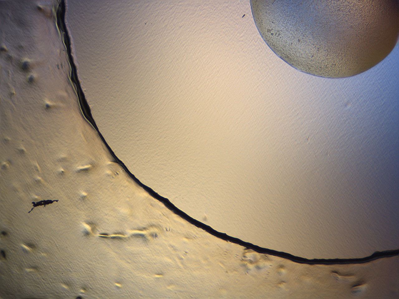 069u_H4_ImagerDefaults_3.jpg