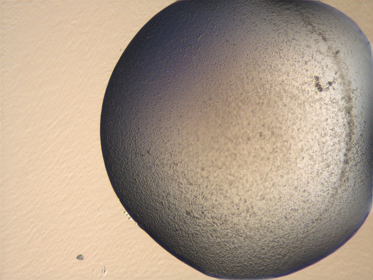 069u_H6_ImagerDefaults_3.jpg