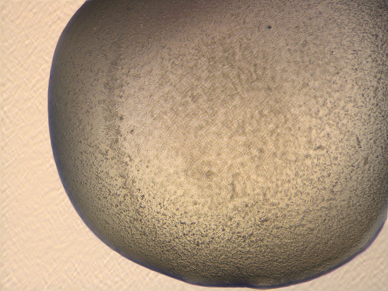 069u_H7_ImagerDefaults_3.jpg