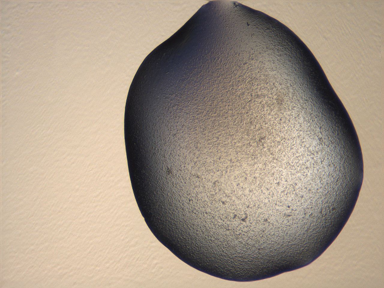069u_H10_ImagerDefaults_3.jpg