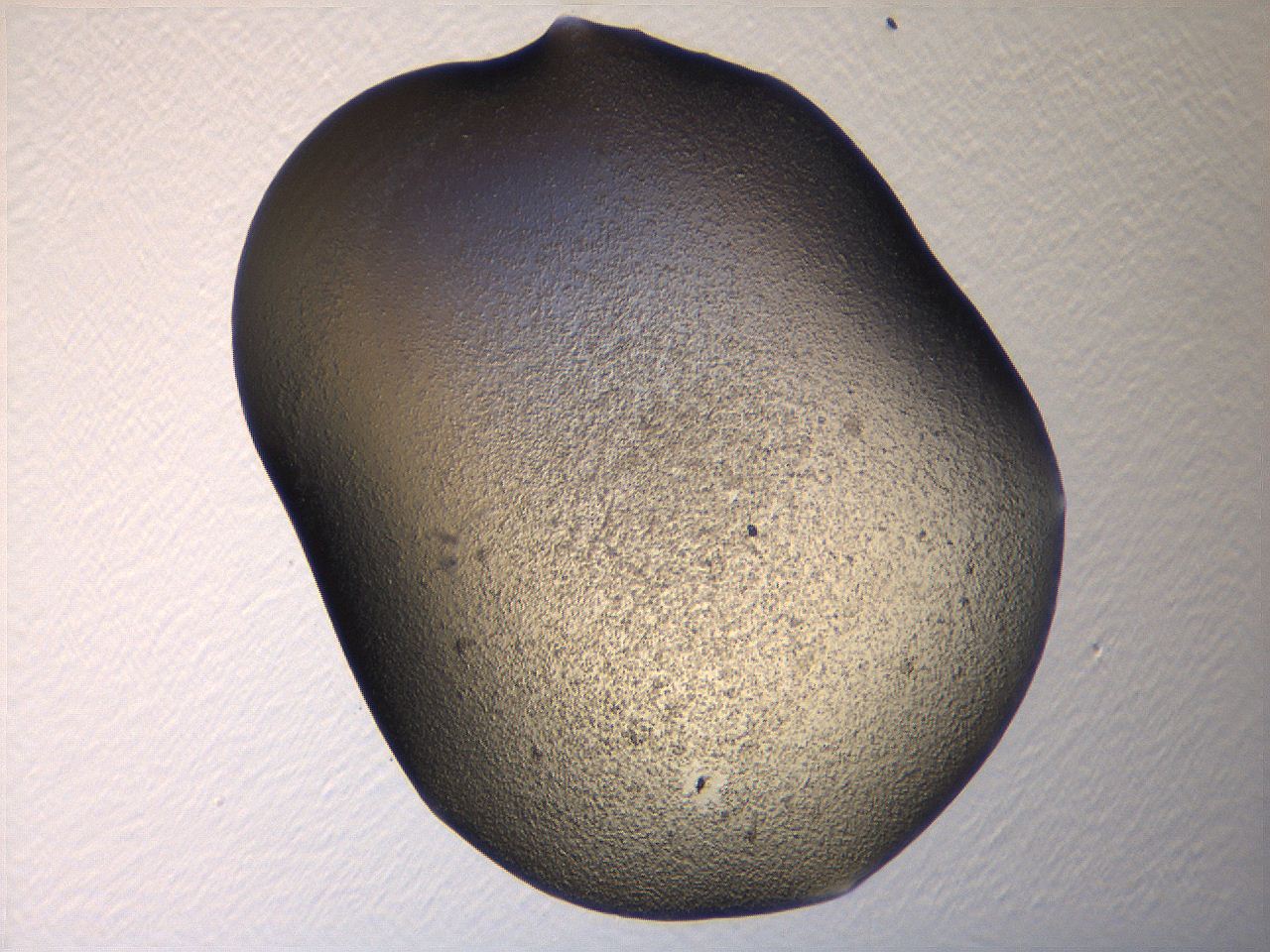 069u_H11_ImagerDefaults_3.jpg