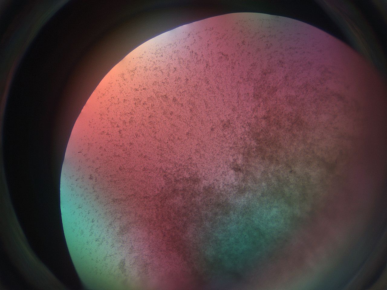 069w_D2_ImagerDefaults_3.jpg