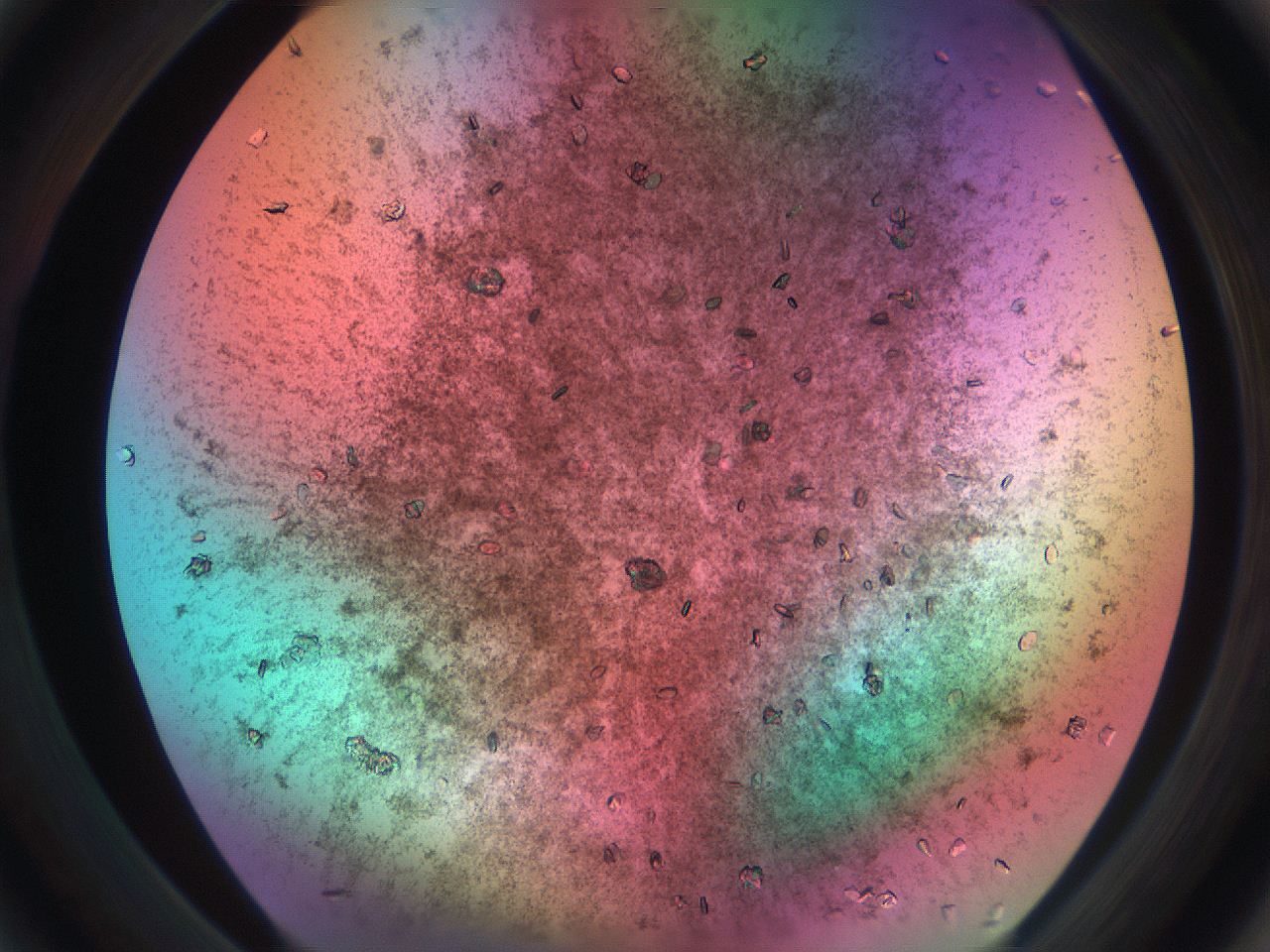069w_D1_ImagerDefaults_9.jpg