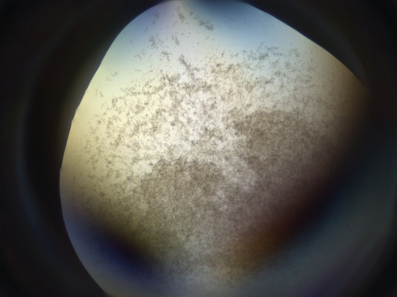069w_C6_ImagerDefaults_3.jpg