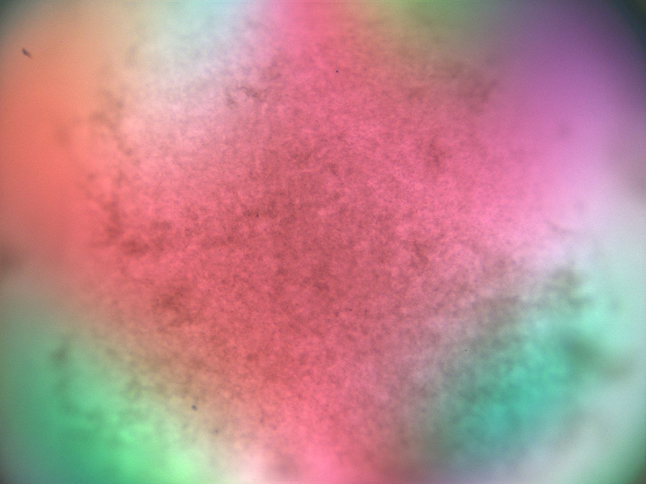 069w_C4_ImagerDefaults_3.jpg