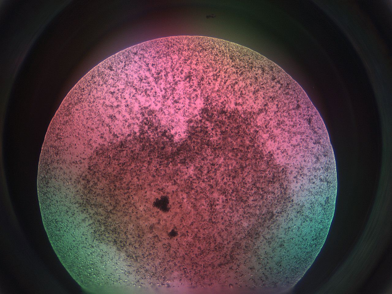 069w_C3_ImagerDefaults_9.jpg