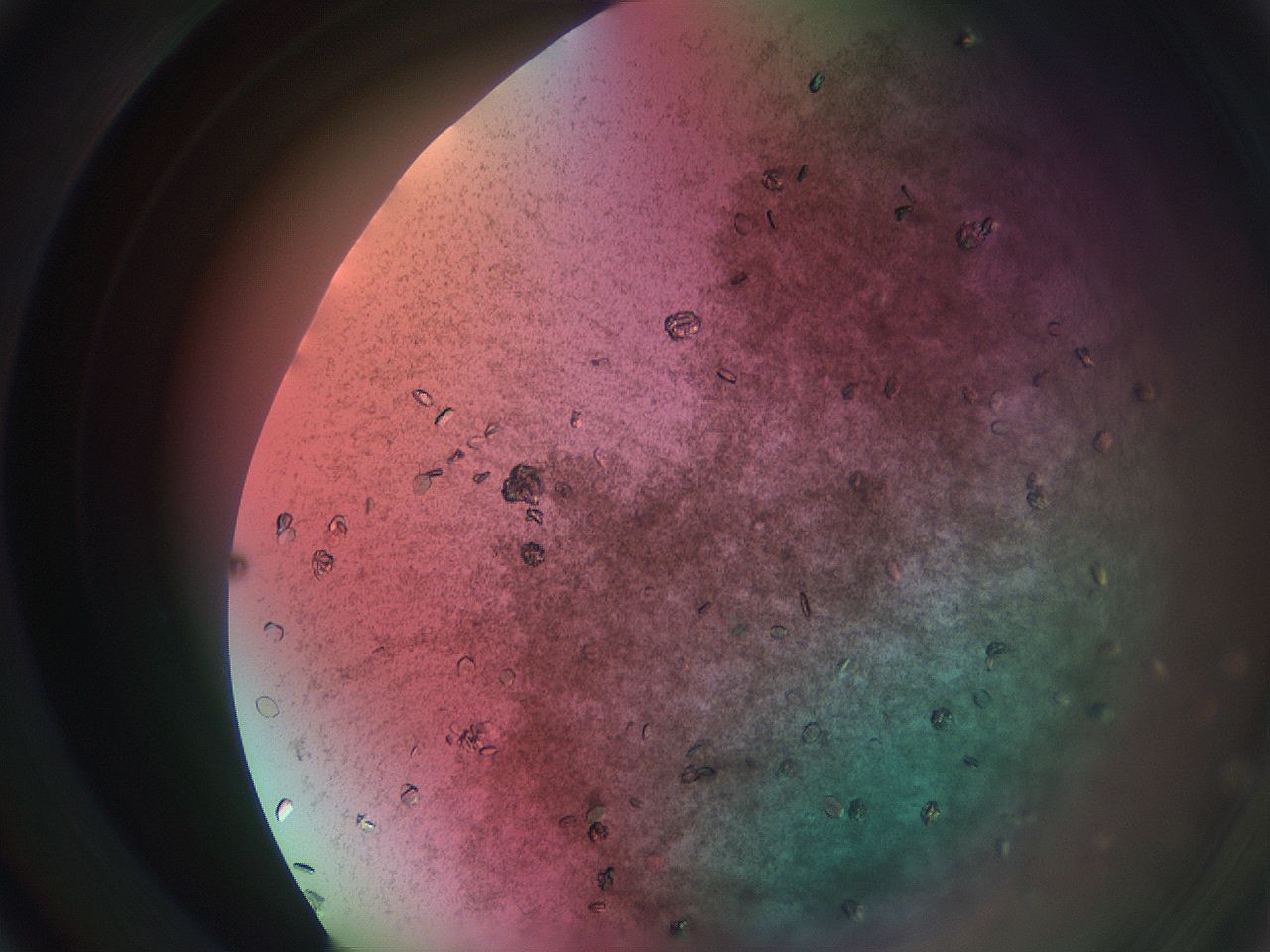 069w_C2_ImagerDefaults_9.jpg