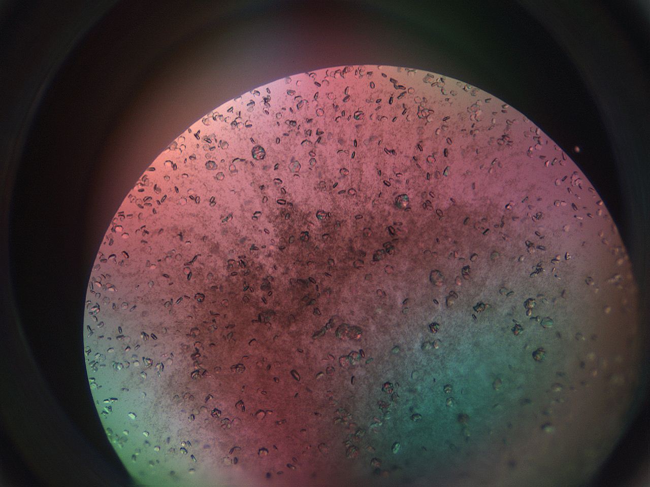 069w_C1_ImagerDefaults_9.jpg