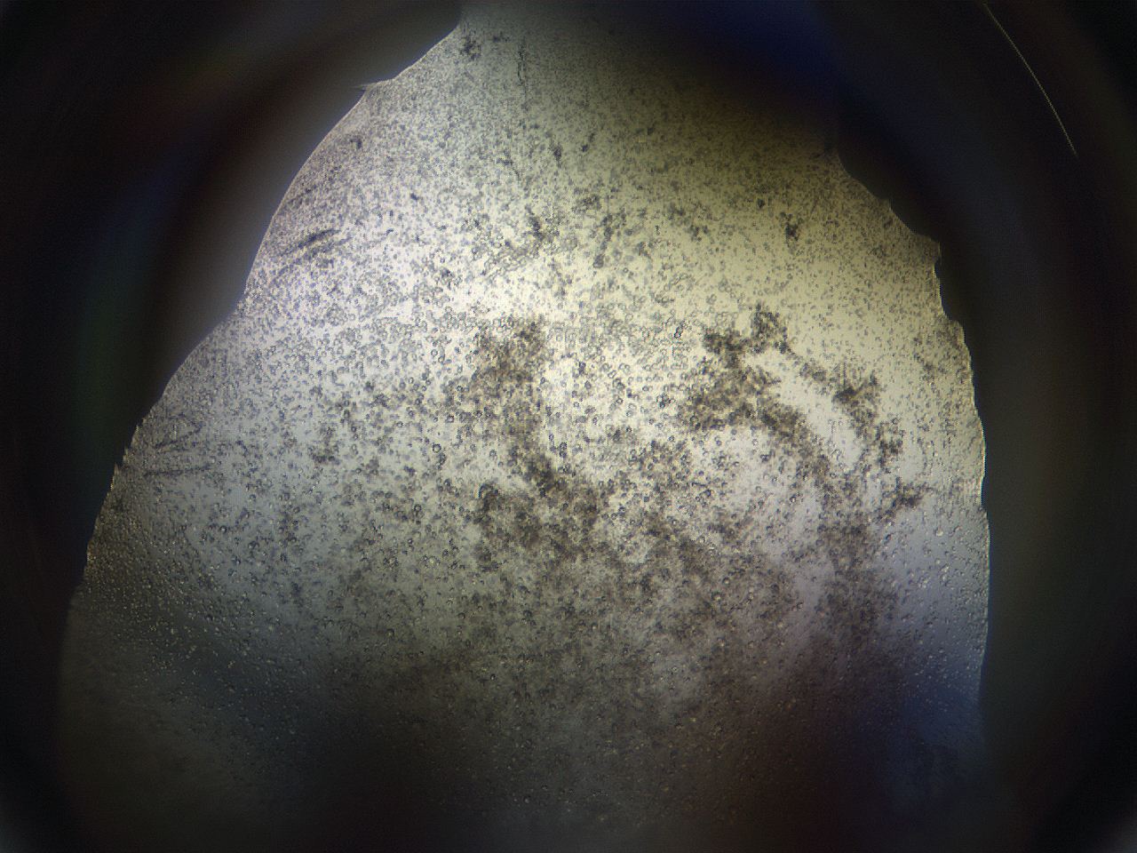 069w_A6_ImagerDefaults_9.jpg