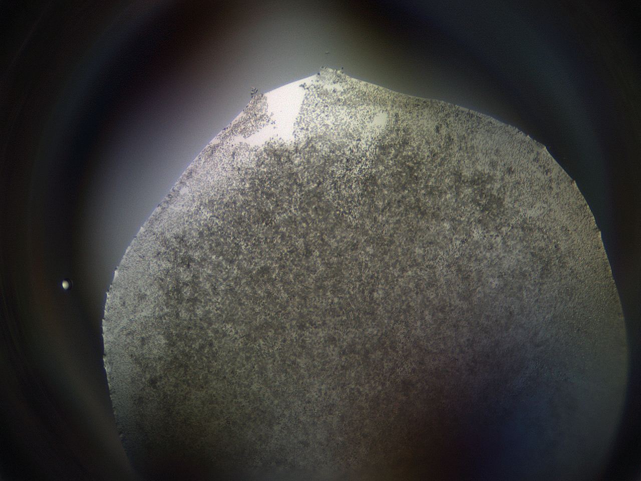 069w_A5_ImagerDefaults_9.jpg