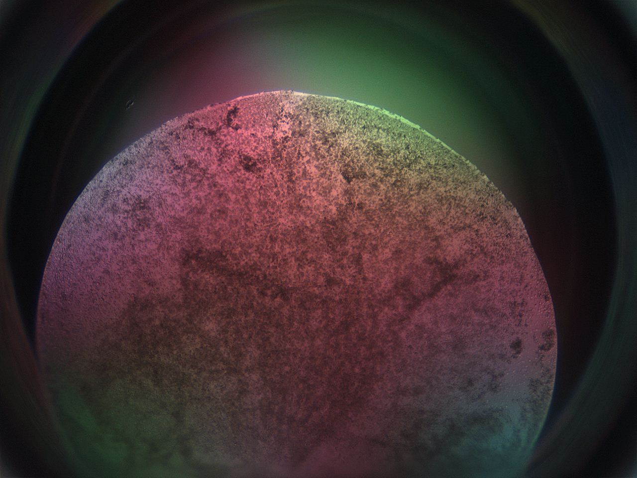 069w_A4_ImagerDefaults_9.jpg