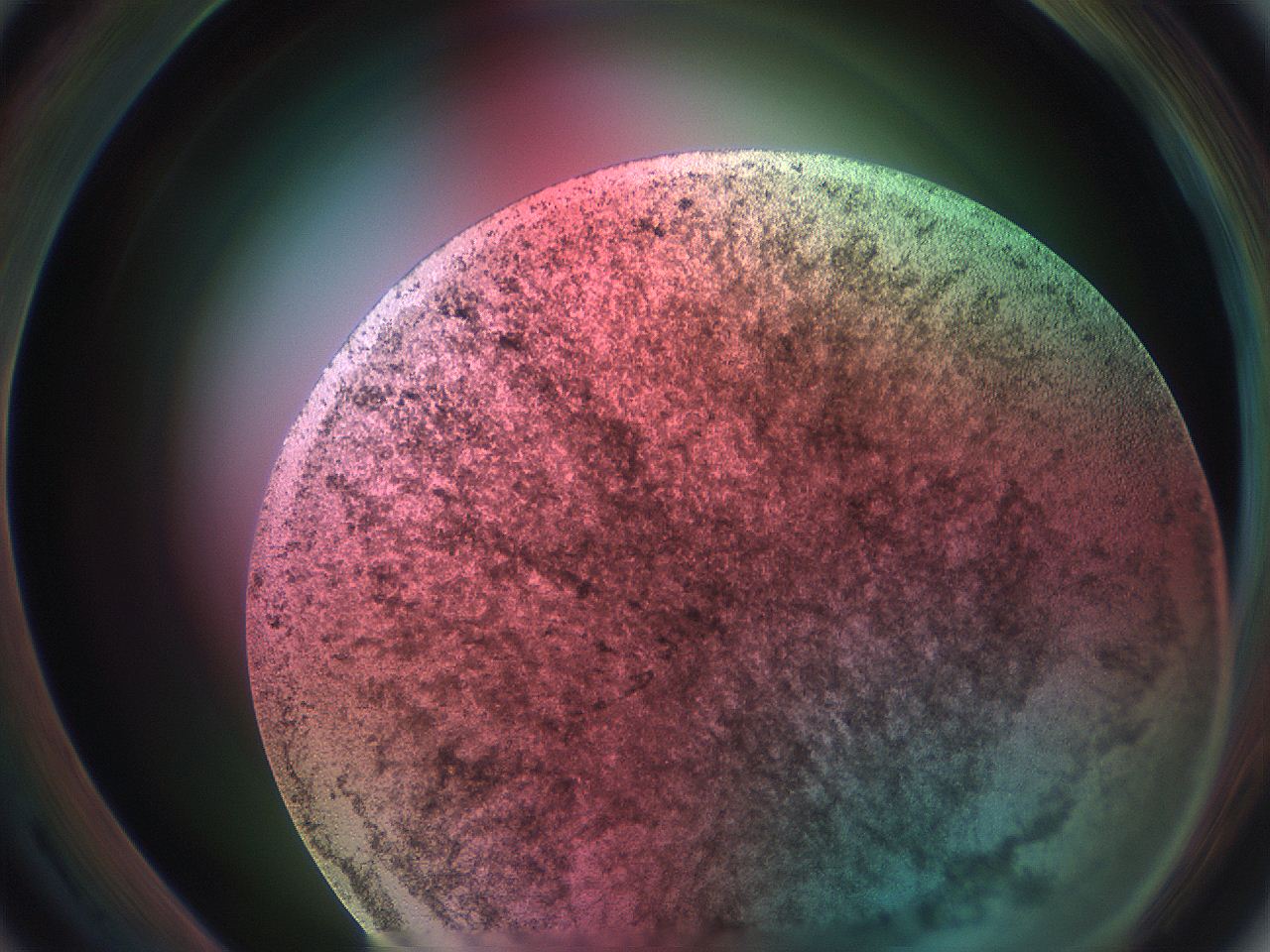 069w_A3_ImagerDefaults_9.jpg