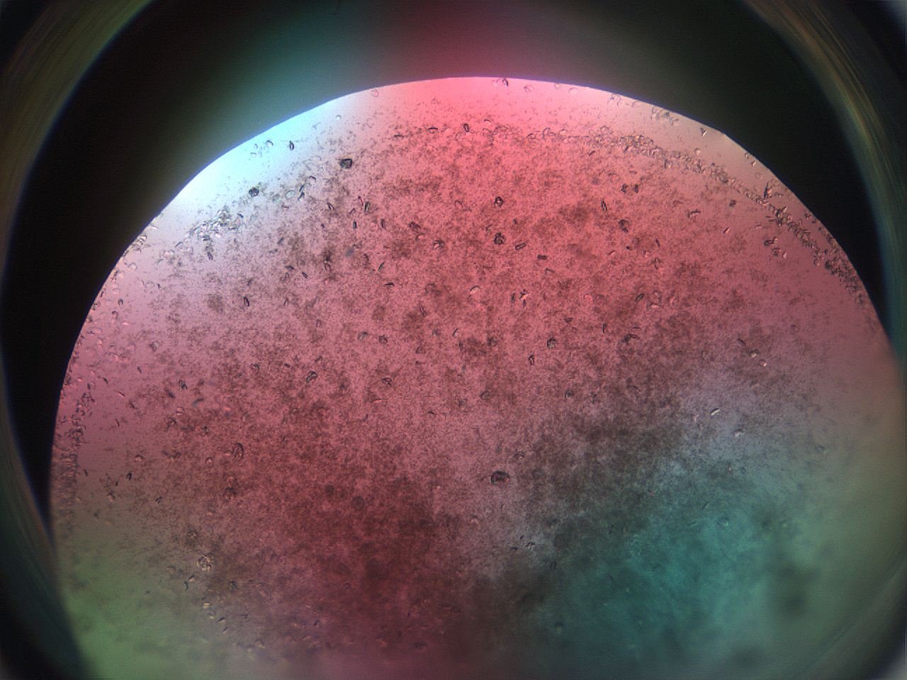 069w_A2_ImagerDefaults_9.jpg