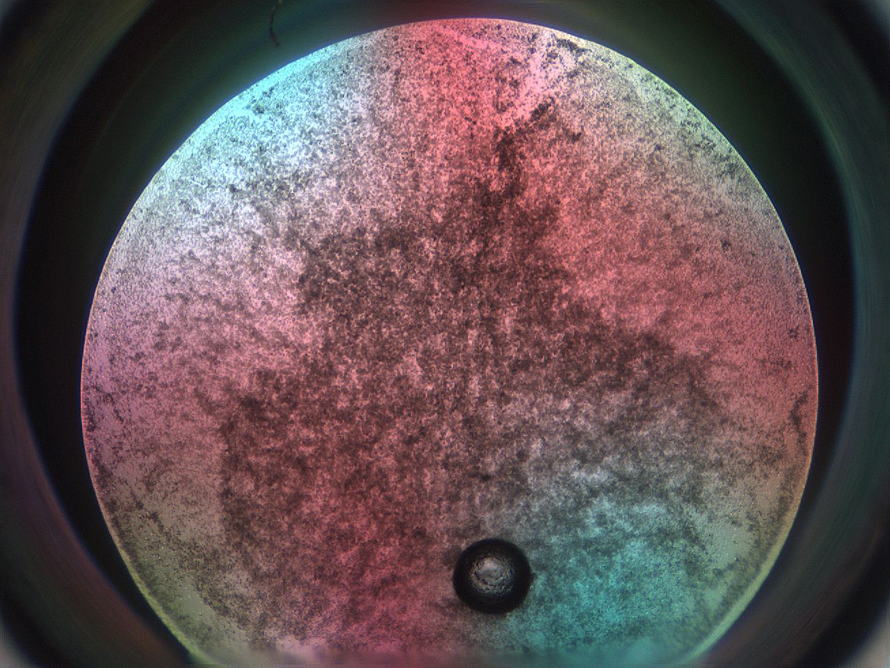 069w_A1_ImagerDefaults_9.jpg