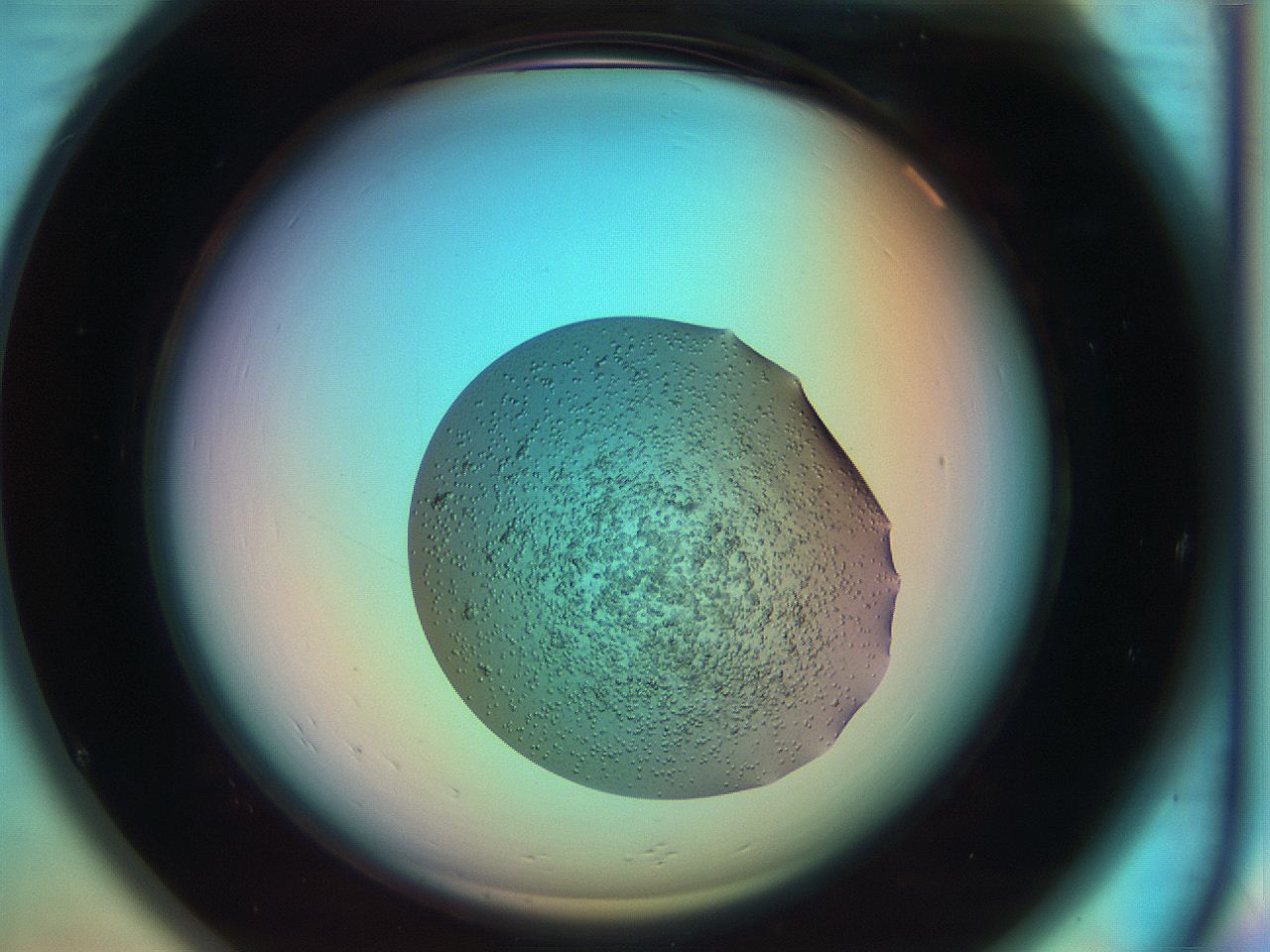 069z_A9_ImagerDefaults_6.jpg