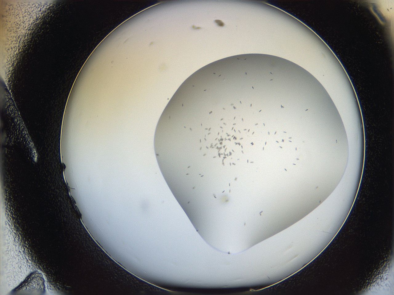 06a1_A11_ImagerDefaults_9.jpg
