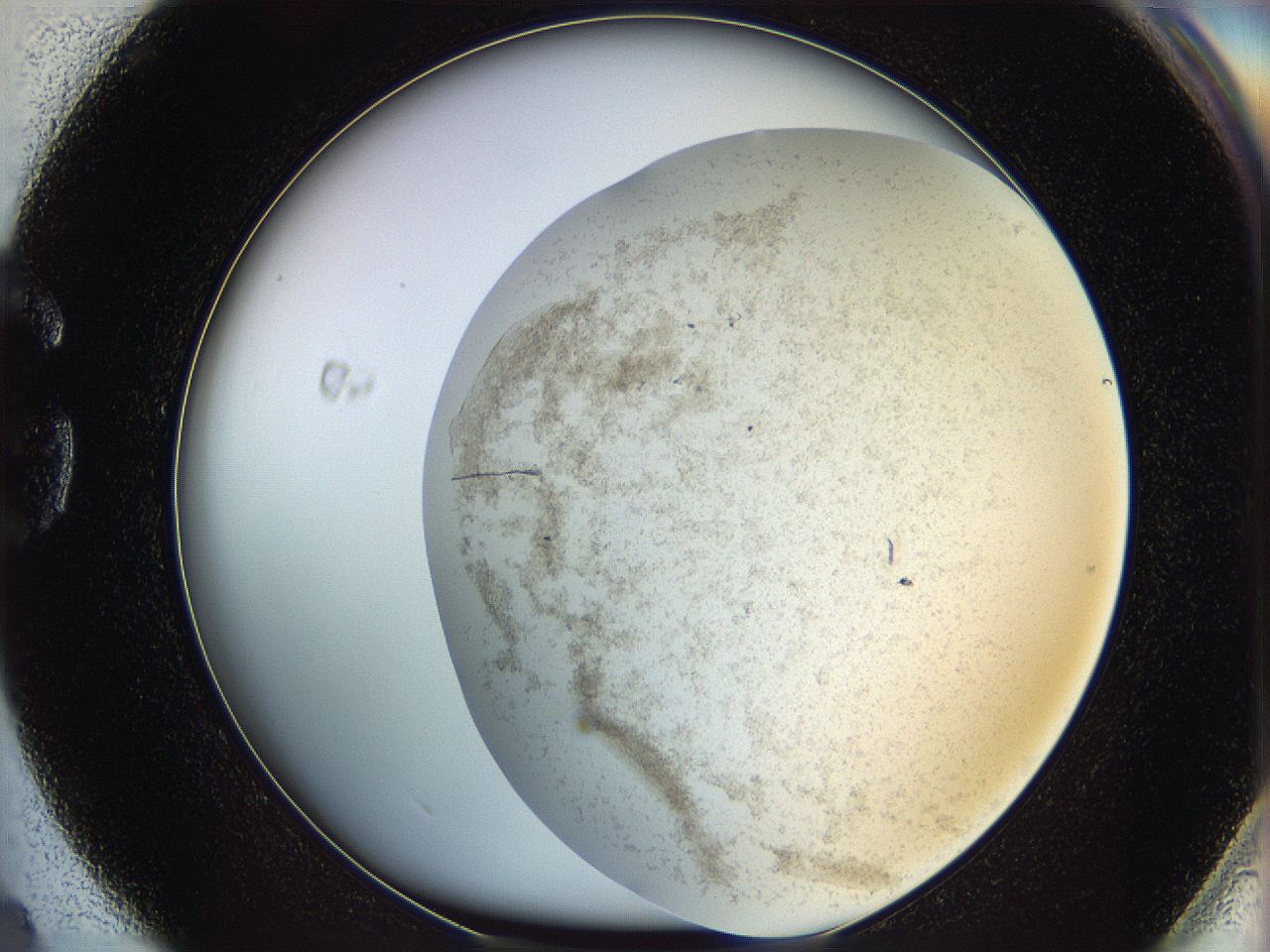 06a8_G4_ImagerDefaults_7.jpg