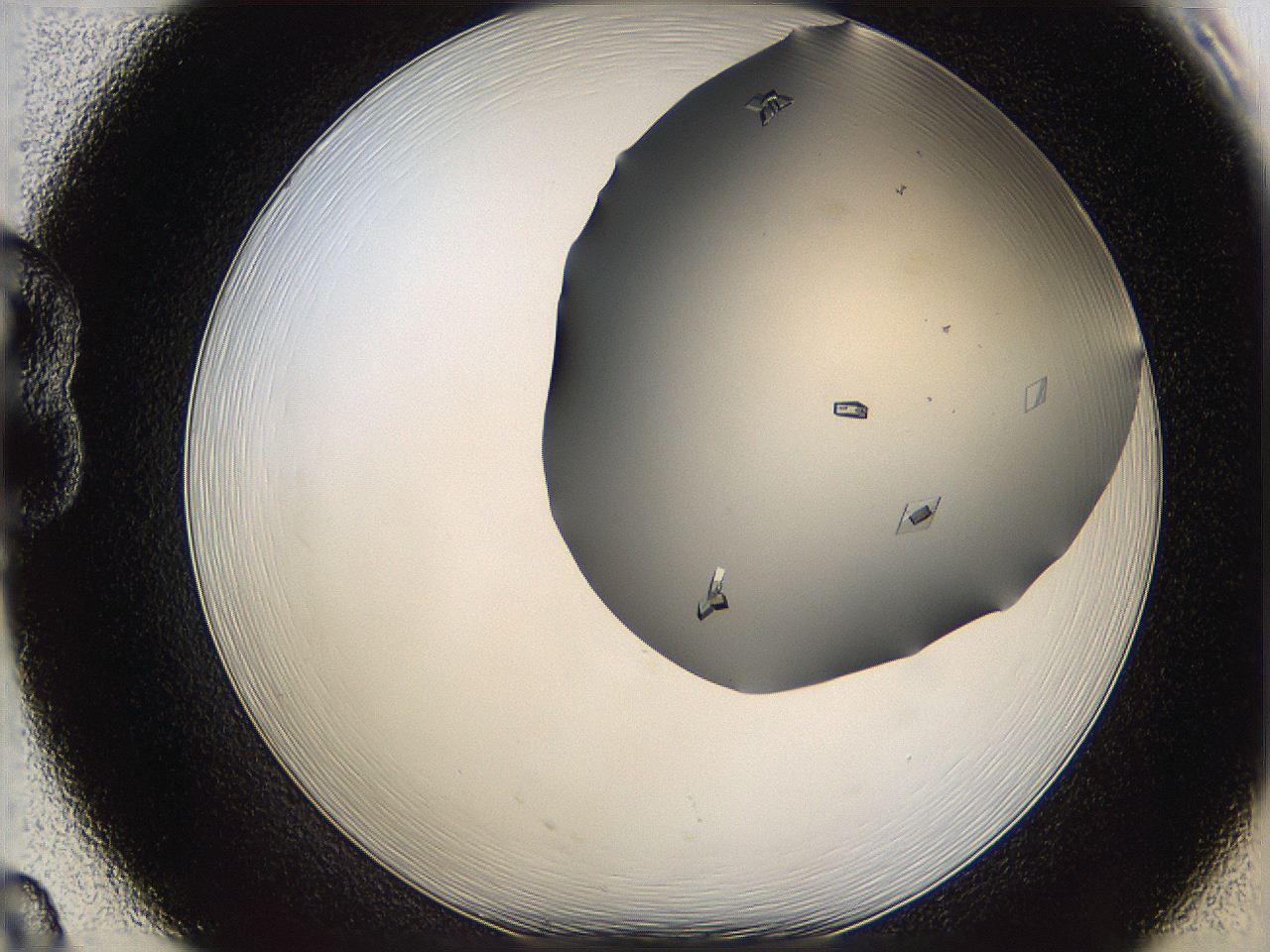 06a9_B8_ImagerDefaults_8.jpg