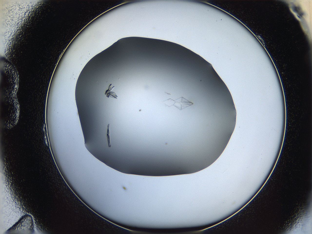 06a9_B11_ImagerDefaults_7.jpg
