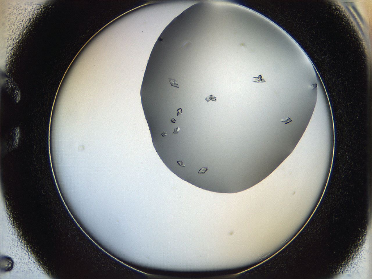 06a9_C5_ImagerDefaults_7.jpg