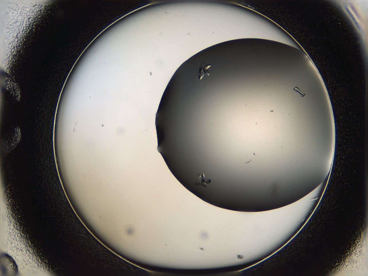 06a9_C8_ImagerDefaults_7.jpg