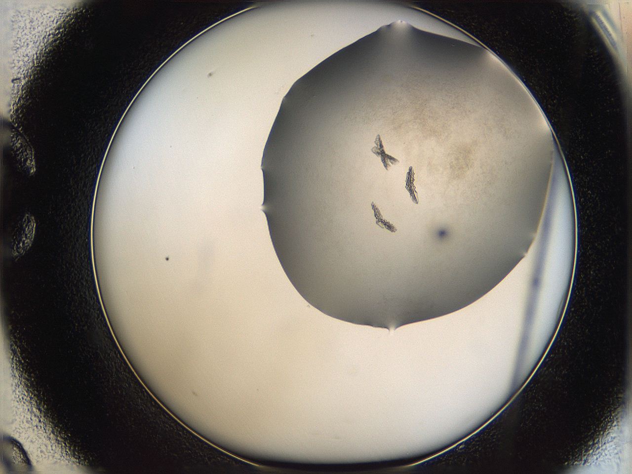 06a9_C9_ImagerDefaults_7.jpg