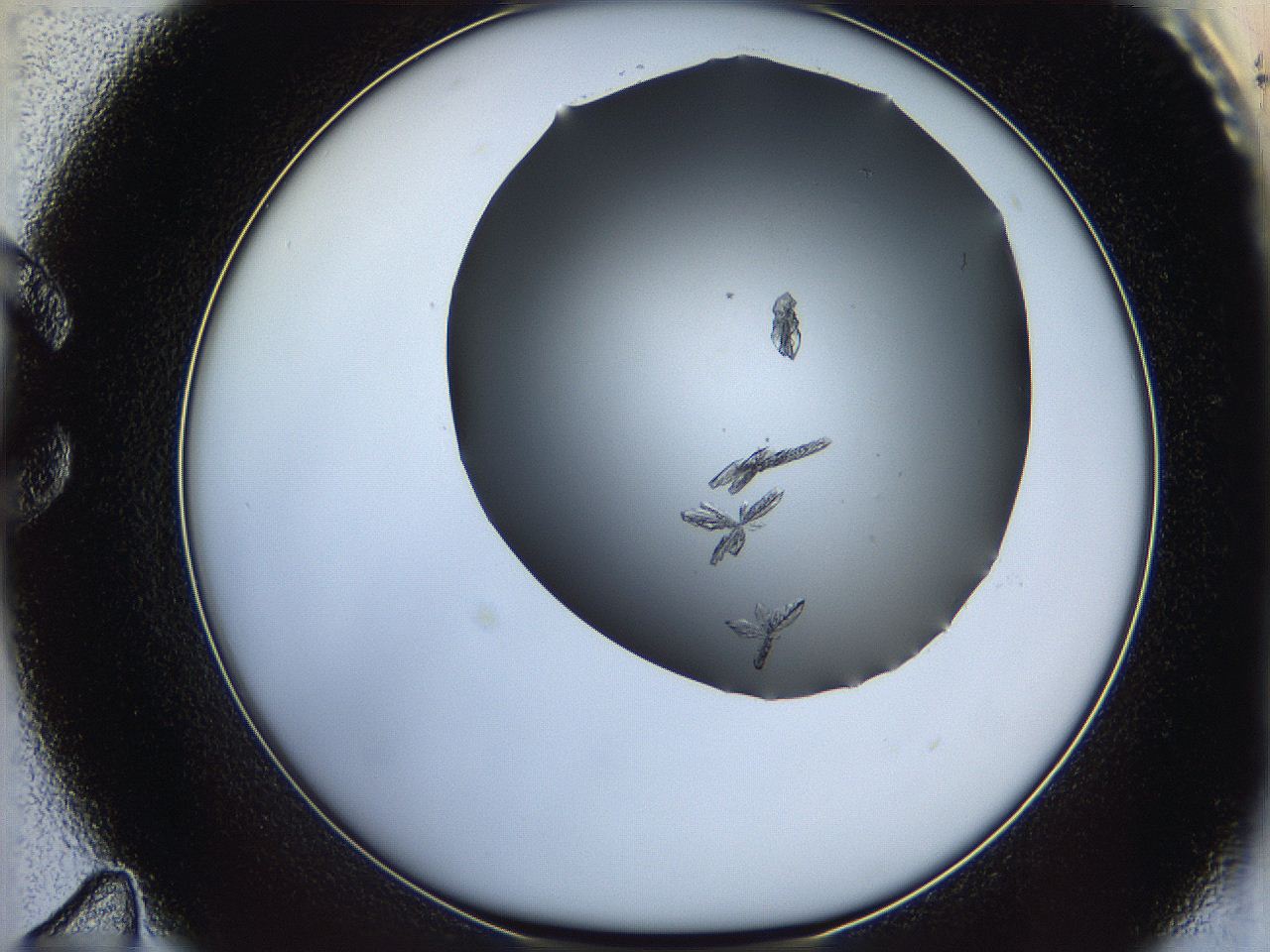 06a9_C11_ImagerDefaults_6.jpg