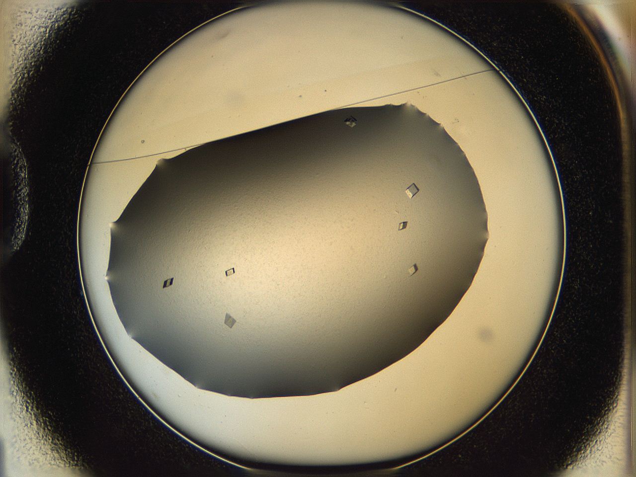 06a9_D1_ImagerDefaults_9.jpg