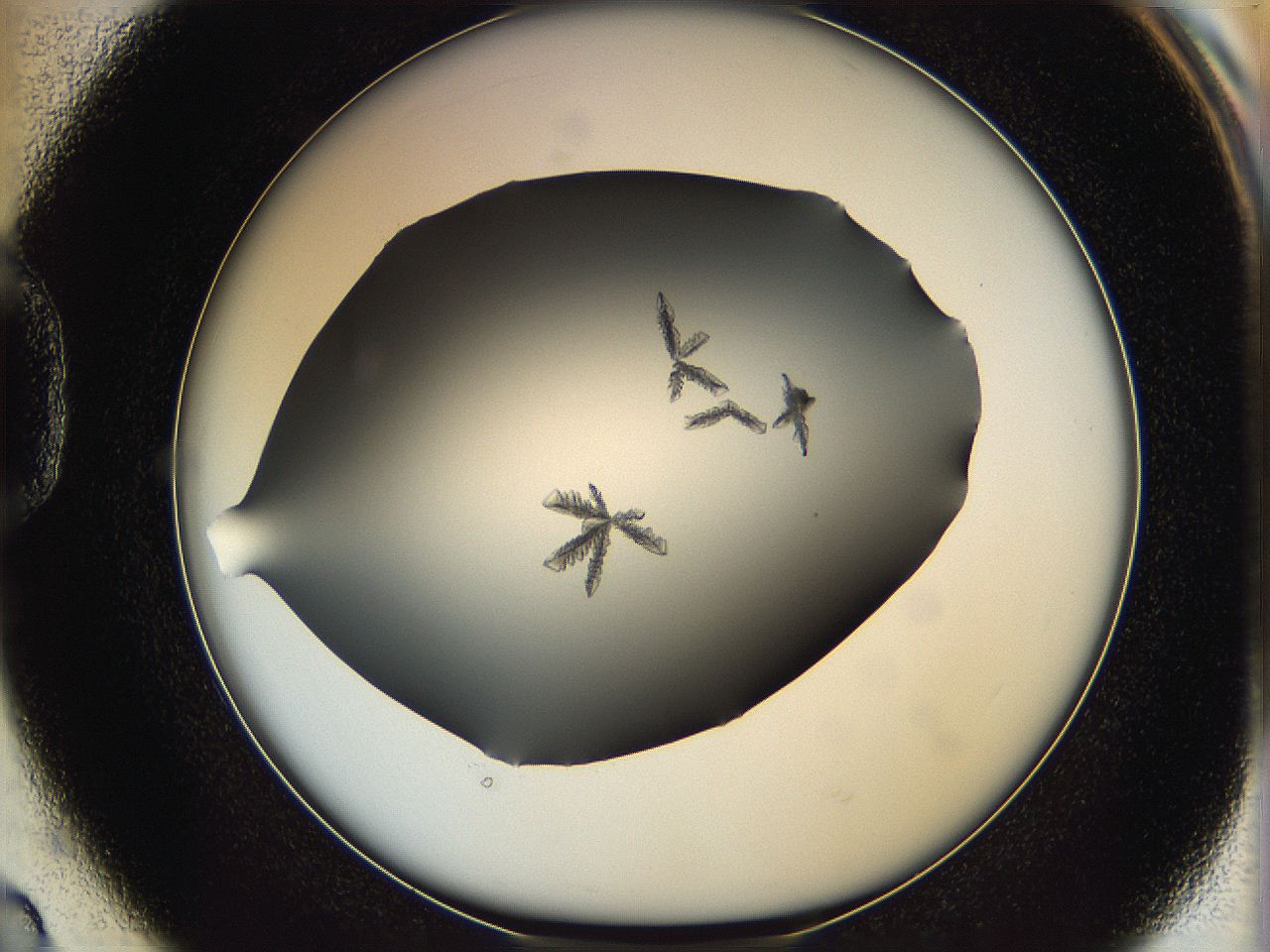 06a9_D2_ImagerDefaults_6.jpg